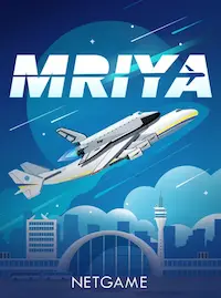 Mriya Mriya crash at TK866 COM